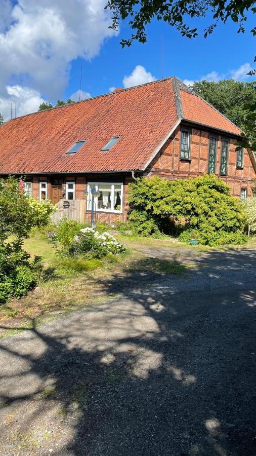 Appartement Hof Dueshop à Bad Fallingbostel Extérieur photo