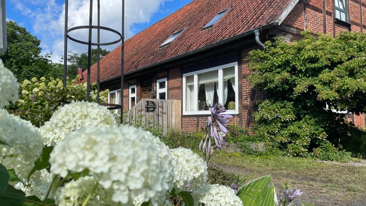 Appartement Hof Dueshop à Bad Fallingbostel Extérieur photo
