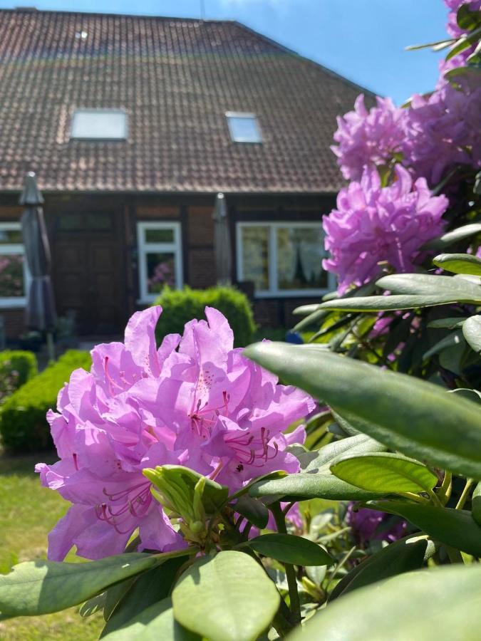 Appartement Hof Dueshop à Bad Fallingbostel Extérieur photo